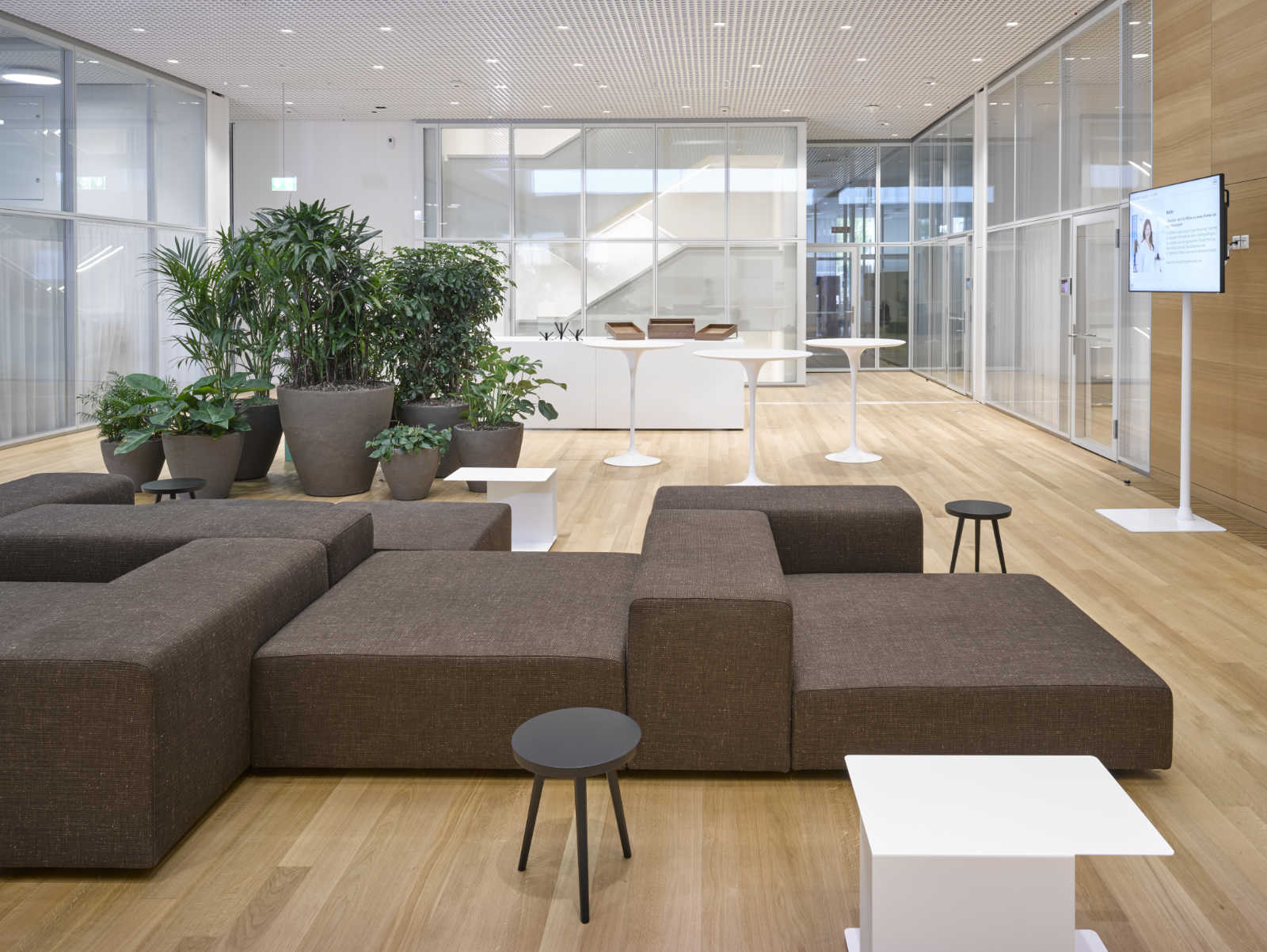 Projekt Hoffmann-La Roche